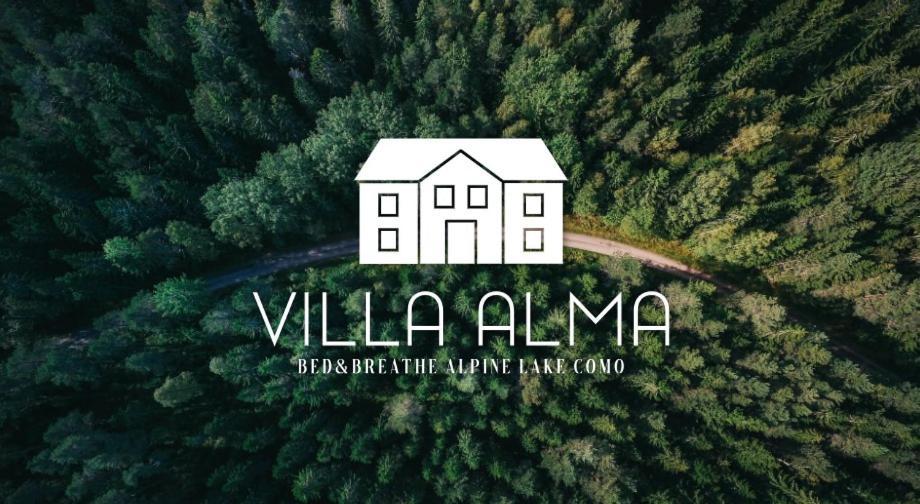 Villa Alma, Lake Como Bed&Breathe Сан-Феделе-Интельви Экстерьер фото