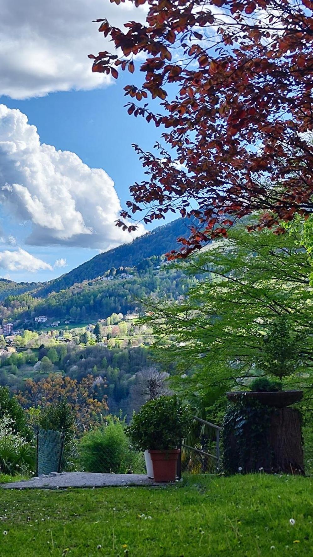 Villa Alma, Lake Como Bed&Breathe Сан-Феделе-Интельви Экстерьер фото